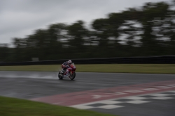 GCP_RRF_NJMP_2018_029