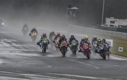 GCP_RRF_NJMP_2018_031