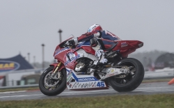 GCP_RRF_NJMP_2018_033